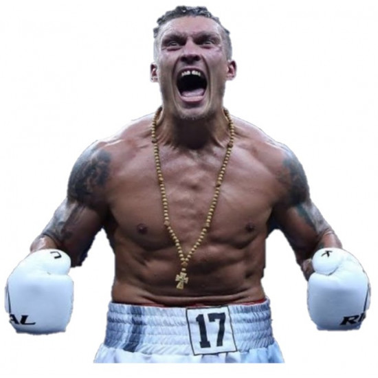 Oleksandr Usyk boxing dvd career set